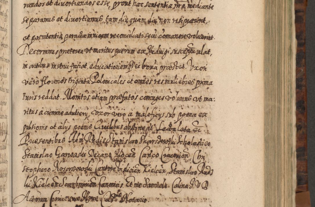 Zdjęcie nr 286 dla obiektu archiwalnego: Acta actorum, causarum spiritualium, civilium, criminalium, obligationum, quietationum, inscpritionum, cessionum, decimarum, testamentorum R. D. Martini Szyszkowski, episcopi Cracoviensis, ducis Severiensis in annis 1624 - 1626. Tomus tertius.