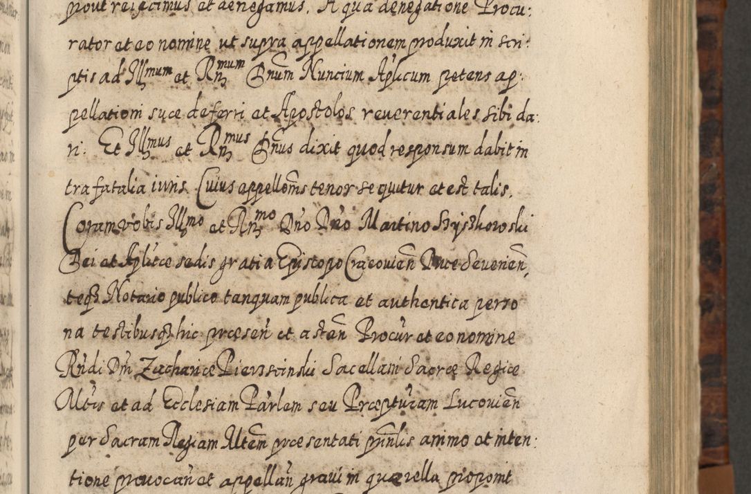 Zdjęcie nr 250 dla obiektu archiwalnego: Acta actorum, causarum spiritualium, civilium, criminalium, obligationum, quietationum, inscpritionum, cessionum, decimarum, testamentorum R. D. Martini Szyszkowski, episcopi Cracoviensis, ducis Severiensis in annis 1624 - 1626. Tomus tertius.