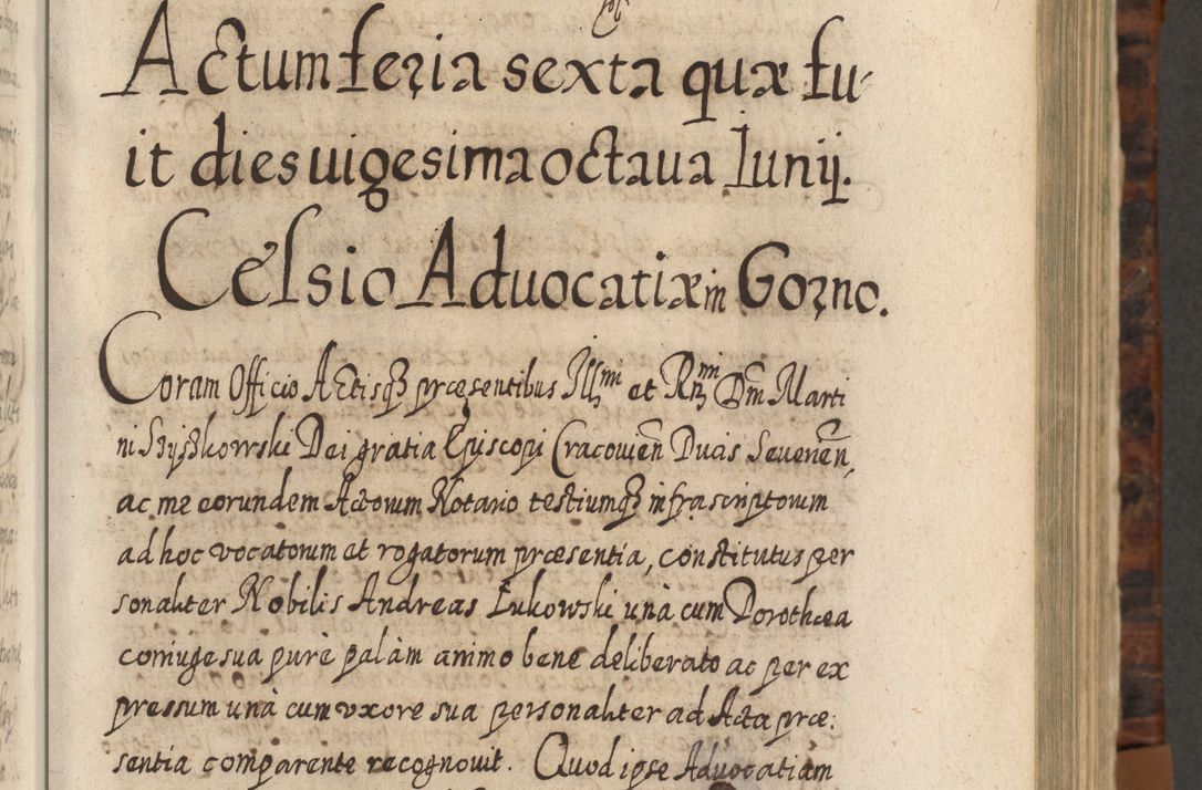 Zdjęcie nr 226 dla obiektu archiwalnego: Acta actorum, causarum spiritualium, civilium, criminalium, obligationum, quietationum, inscpritionum, cessionum, decimarum, testamentorum R. D. Martini Szyszkowski, episcopi Cracoviensis, ducis Severiensis in annis 1624 - 1626. Tomus tertius.