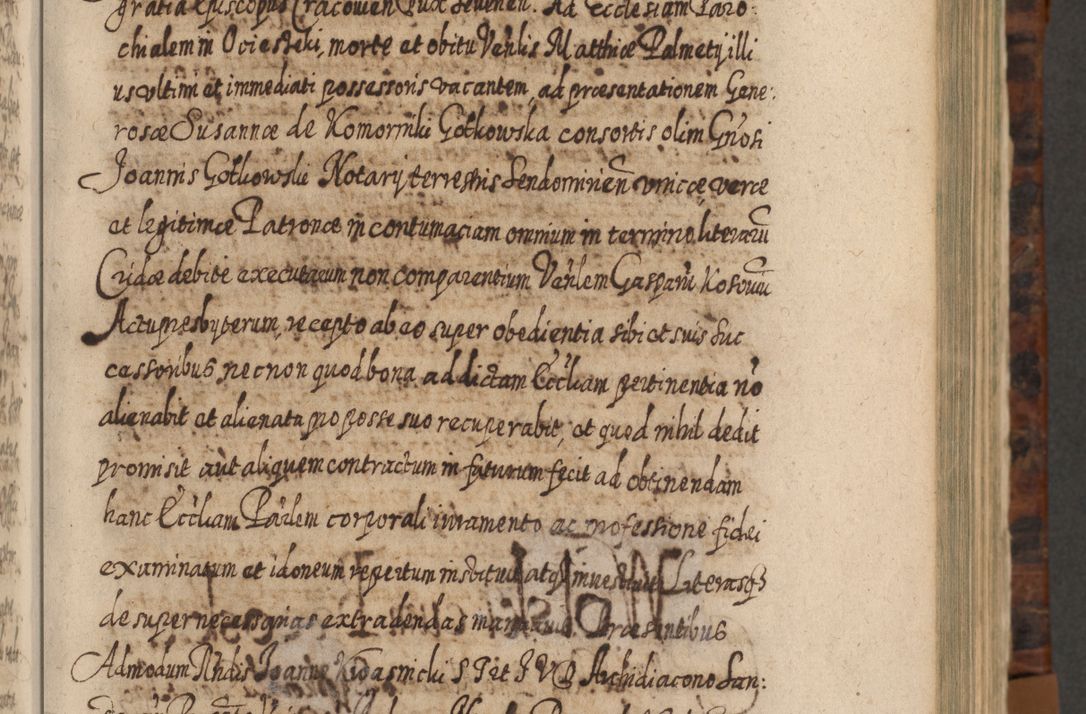 Zdjęcie nr 216 dla obiektu archiwalnego: Acta actorum, causarum spiritualium, civilium, criminalium, obligationum, quietationum, inscpritionum, cessionum, decimarum, testamentorum R. D. Martini Szyszkowski, episcopi Cracoviensis, ducis Severiensis in annis 1624 - 1626. Tomus tertius.