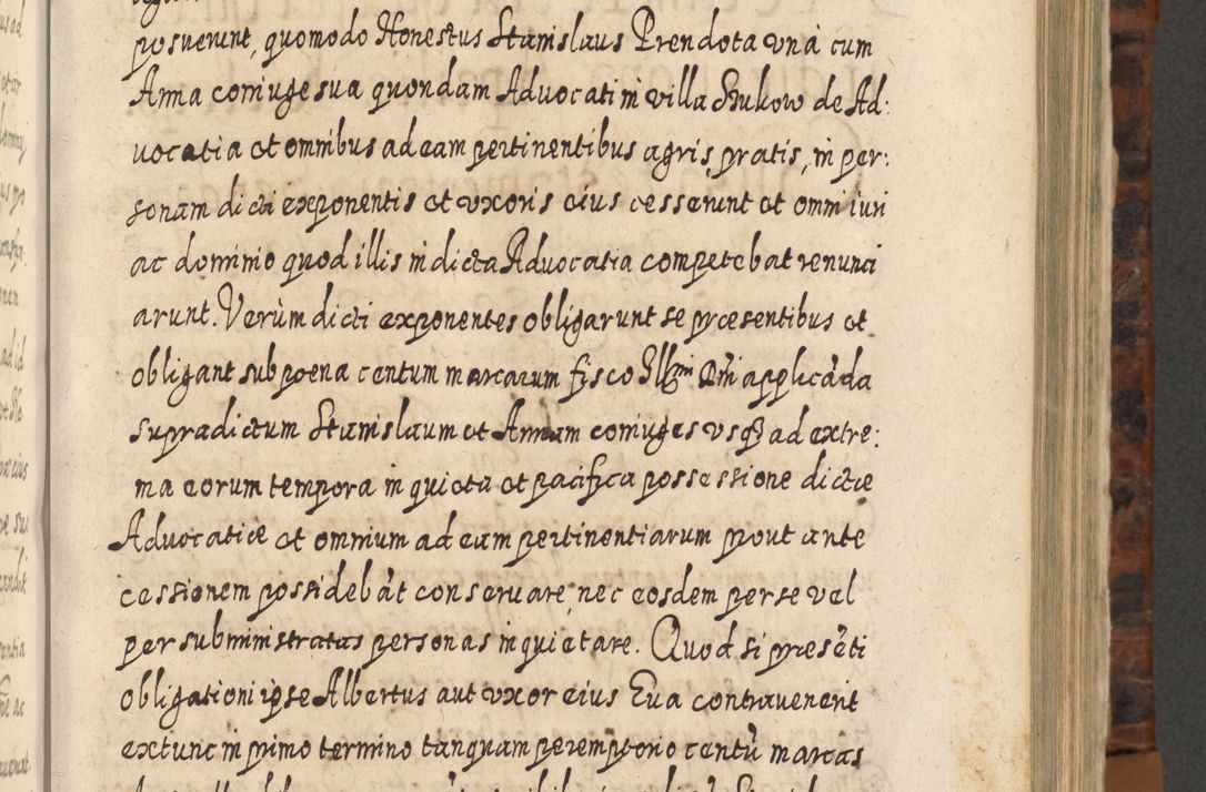 Zdjęcie nr 566 dla obiektu archiwalnego: Acta actorum, causarum spiritualium, civilium, criminalium, obligationum, quietationum, inscpritionum, cessionum, decimarum, testamentorum R. D. Martini Szyszkowski, episcopi Cracoviensis, ducis Severiensis in annis 1624 - 1626. Tomus tertius.