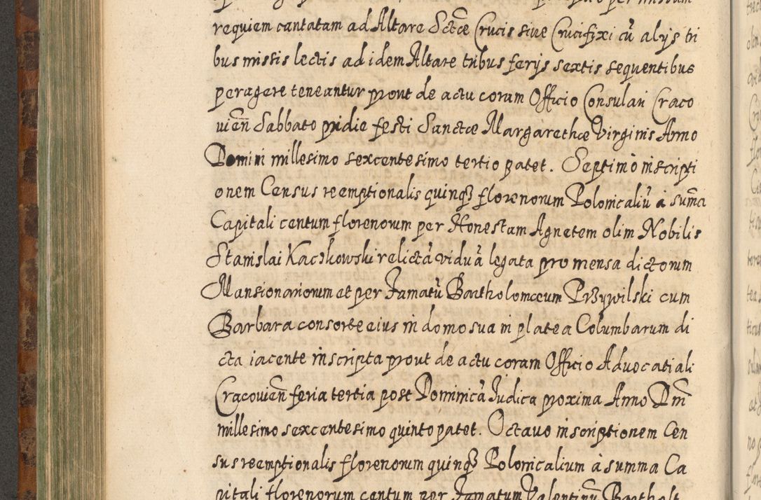 Zdjęcie nr 505 dla obiektu archiwalnego: Acta actorum, causarum spiritualium, civilium, criminalium, obligationum, quietationum, inscpritionum, cessionum, decimarum, testamentorum R. D. Martini Szyszkowski, episcopi Cracoviensis, ducis Severiensis in annis 1624 - 1626. Tomus tertius.