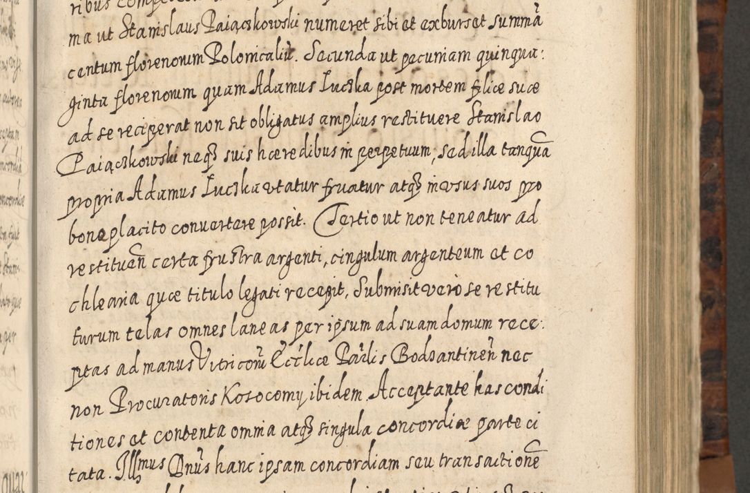 Zdjęcie nr 450 dla obiektu archiwalnego: Acta actorum, causarum spiritualium, civilium, criminalium, obligationum, quietationum, inscpritionum, cessionum, decimarum, testamentorum R. D. Martini Szyszkowski, episcopi Cracoviensis, ducis Severiensis in annis 1624 - 1626. Tomus tertius.