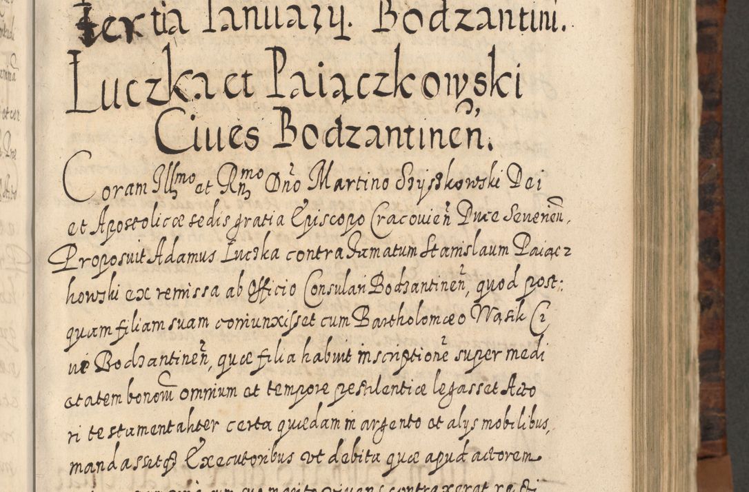 Zdjęcie nr 448 dla obiektu archiwalnego: Acta actorum, causarum spiritualium, civilium, criminalium, obligationum, quietationum, inscpritionum, cessionum, decimarum, testamentorum R. D. Martini Szyszkowski, episcopi Cracoviensis, ducis Severiensis in annis 1624 - 1626. Tomus tertius.
