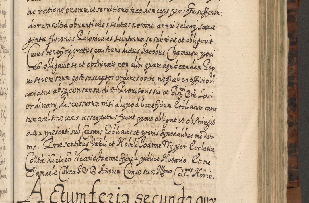 Zdjęcie nr 420 dla obiektu archiwalnego: Acta actorum, causarum spiritualium, civilium, criminalium, obligationum, quietationum, inscpritionum, cessionum, decimarum, testamentorum R. D. Martini Szyszkowski, episcopi Cracoviensis, ducis Severiensis in annis 1624 - 1626. Tomus tertius.