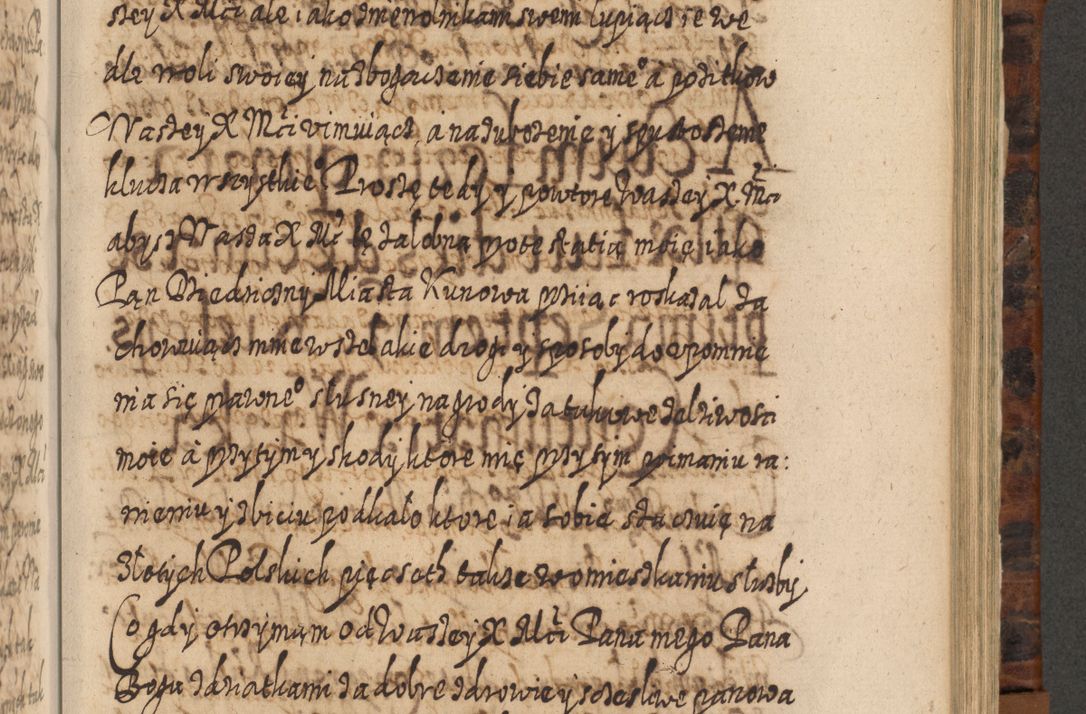 Zdjęcie nr 800 dla obiektu archiwalnego: Acta actorum, causarum spiritualium, civilium, criminalium, obligationum, quietationum, inscpritionum, cessionum, decimarum, testamentorum R. D. Martini Szyszkowski, episcopi Cracoviensis, ducis Severiensis in annis 1624 - 1626. Tomus tertius.