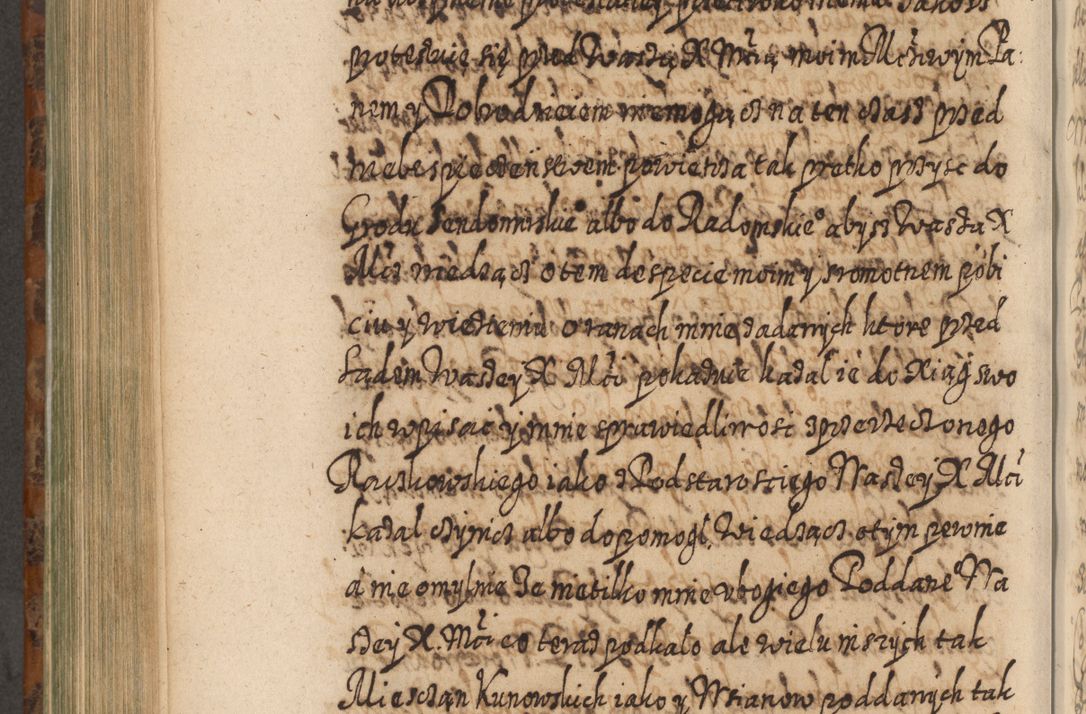 Zdjęcie nr 799 dla obiektu archiwalnego: Acta actorum, causarum spiritualium, civilium, criminalium, obligationum, quietationum, inscpritionum, cessionum, decimarum, testamentorum R. D. Martini Szyszkowski, episcopi Cracoviensis, ducis Severiensis in annis 1624 - 1626. Tomus tertius.