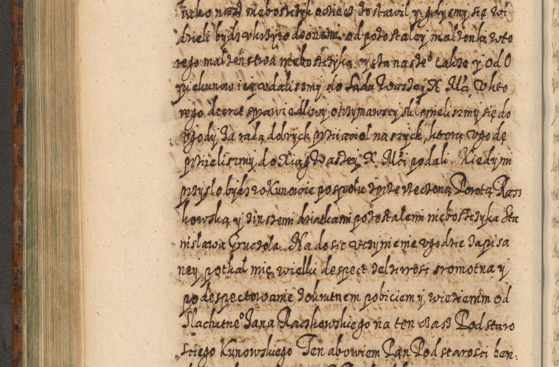 Zdjęcie nr 797 dla obiektu archiwalnego: Acta actorum, causarum spiritualium, civilium, criminalium, obligationum, quietationum, inscpritionum, cessionum, decimarum, testamentorum R. D. Martini Szyszkowski, episcopi Cracoviensis, ducis Severiensis in annis 1624 - 1626. Tomus tertius.
