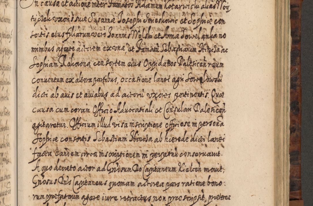 Zdjęcie nr 784 dla obiektu archiwalnego: Acta actorum, causarum spiritualium, civilium, criminalium, obligationum, quietationum, inscpritionum, cessionum, decimarum, testamentorum R. D. Martini Szyszkowski, episcopi Cracoviensis, ducis Severiensis in annis 1624 - 1626. Tomus tertius.