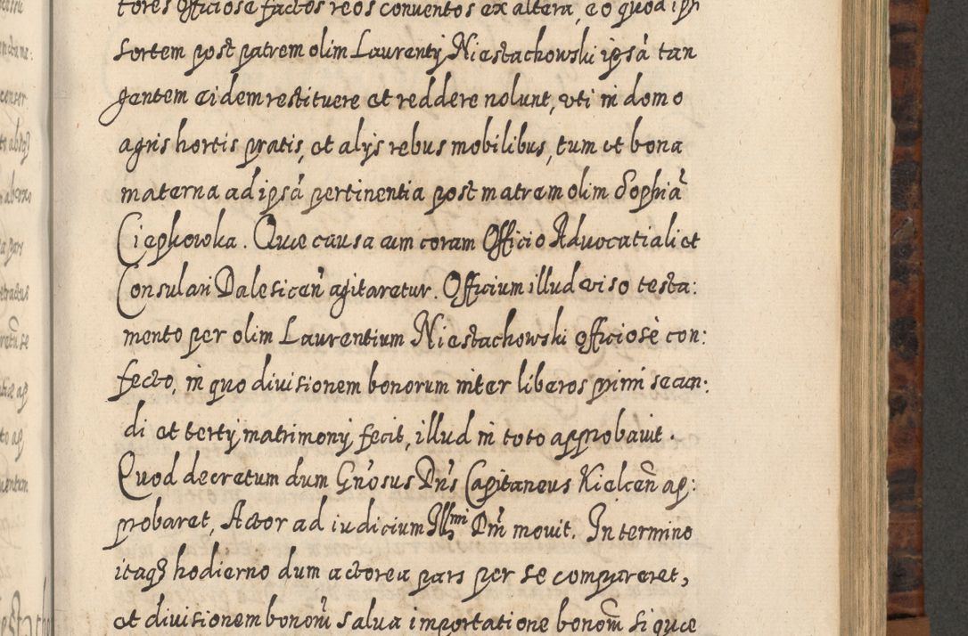 Zdjęcie nr 754 dla obiektu archiwalnego: Acta actorum, causarum spiritualium, civilium, criminalium, obligationum, quietationum, inscpritionum, cessionum, decimarum, testamentorum R. D. Martini Szyszkowski, episcopi Cracoviensis, ducis Severiensis in annis 1624 - 1626. Tomus tertius.