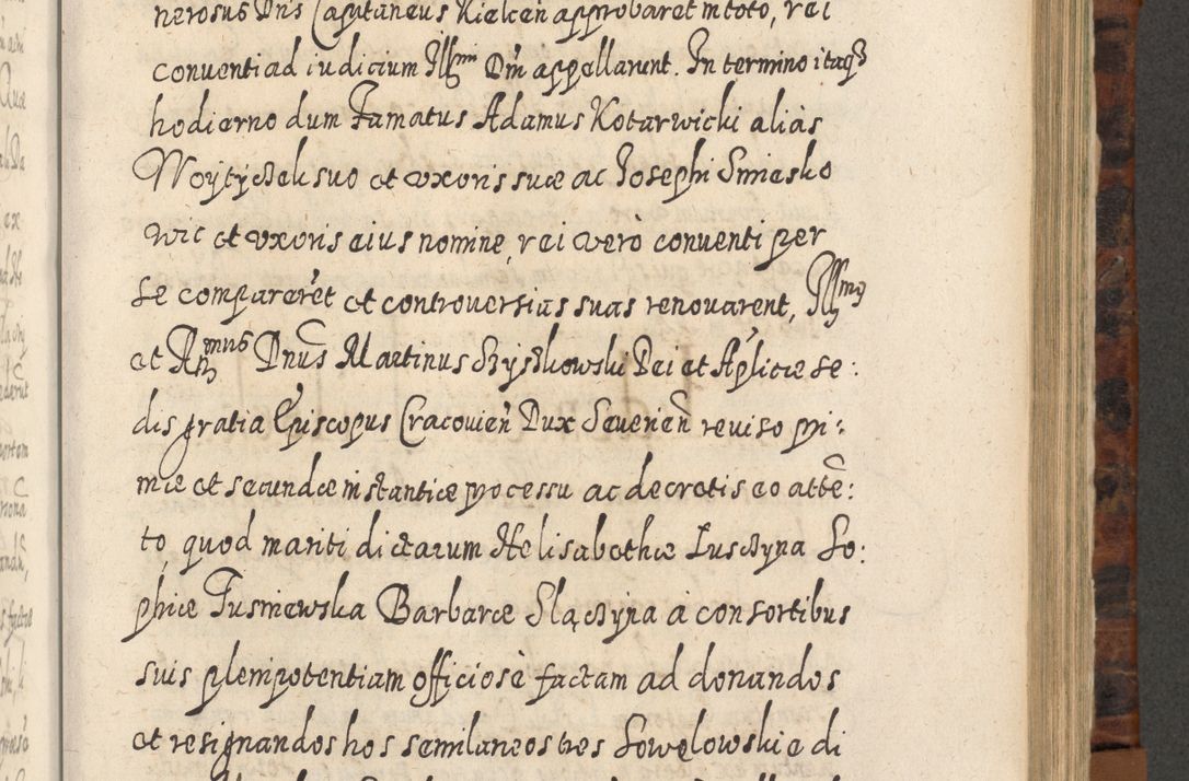 Zdjęcie nr 750 dla obiektu archiwalnego: Acta actorum, causarum spiritualium, civilium, criminalium, obligationum, quietationum, inscpritionum, cessionum, decimarum, testamentorum R. D. Martini Szyszkowski, episcopi Cracoviensis, ducis Severiensis in annis 1624 - 1626. Tomus tertius.
