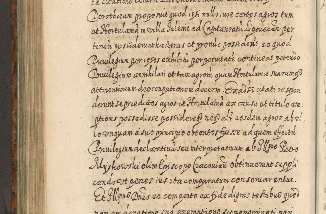 Zdjęcie nr 723 dla obiektu archiwalnego: Acta actorum, causarum spiritualium, civilium, criminalium, obligationum, quietationum, inscpritionum, cessionum, decimarum, testamentorum R. D. Martini Szyszkowski, episcopi Cracoviensis, ducis Severiensis in annis 1624 - 1626. Tomus tertius.