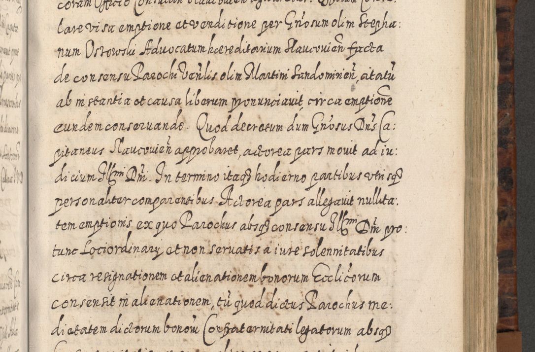 Zdjęcie nr 656 dla obiektu archiwalnego: Acta actorum, causarum spiritualium, civilium, criminalium, obligationum, quietationum, inscpritionum, cessionum, decimarum, testamentorum R. D. Martini Szyszkowski, episcopi Cracoviensis, ducis Severiensis in annis 1624 - 1626. Tomus tertius.