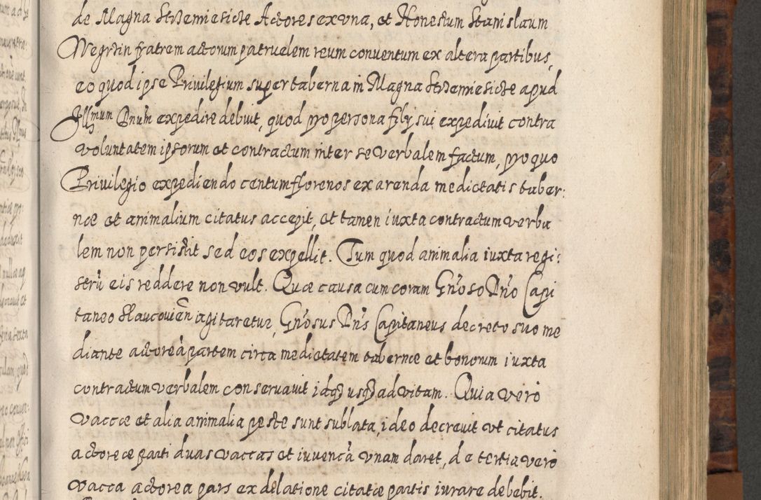 Zdjęcie nr 654 dla obiektu archiwalnego: Acta actorum, causarum spiritualium, civilium, criminalium, obligationum, quietationum, inscpritionum, cessionum, decimarum, testamentorum R. D. Martini Szyszkowski, episcopi Cracoviensis, ducis Severiensis in annis 1624 - 1626. Tomus tertius.