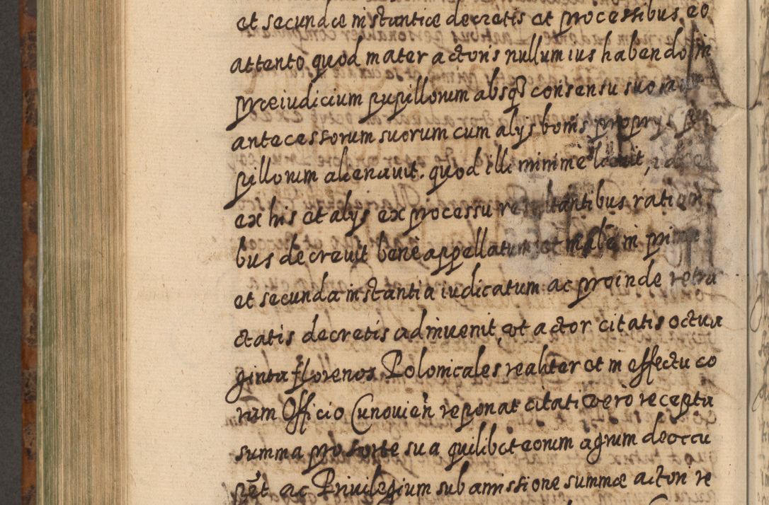 Zdjęcie nr 901 dla obiektu archiwalnego: Acta actorum, causarum spiritualium, civilium, criminalium, obligationum, quietationum, inscpritionum, cessionum, decimarum, testamentorum R. D. Martini Szyszkowski, episcopi Cracoviensis, ducis Severiensis in annis 1624 - 1626. Tomus tertius.