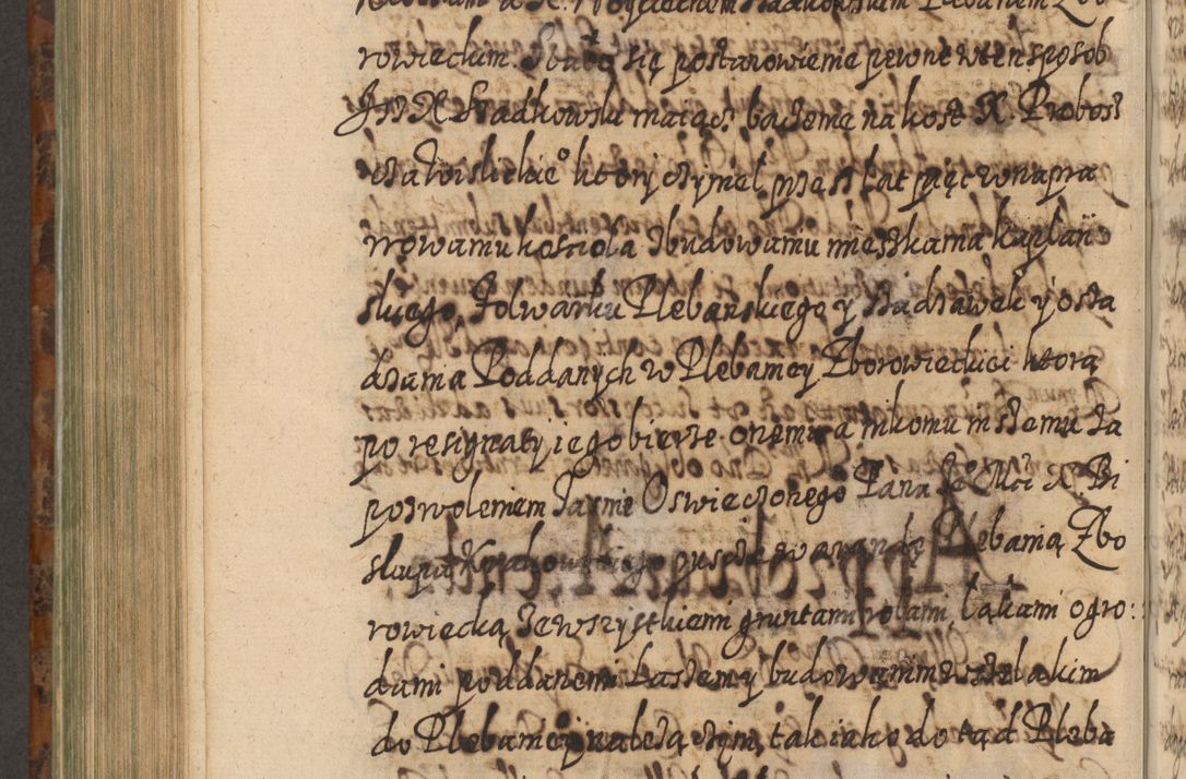 Zdjęcie nr 893 dla obiektu archiwalnego: Acta actorum, causarum spiritualium, civilium, criminalium, obligationum, quietationum, inscpritionum, cessionum, decimarum, testamentorum R. D. Martini Szyszkowski, episcopi Cracoviensis, ducis Severiensis in annis 1624 - 1626. Tomus tertius.