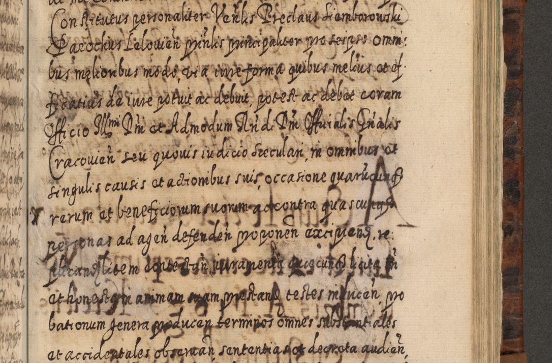 Zdjęcie nr 896 dla obiektu archiwalnego: Acta actorum, causarum spiritualium, civilium, criminalium, obligationum, quietationum, inscpritionum, cessionum, decimarum, testamentorum R. D. Martini Szyszkowski, episcopi Cracoviensis, ducis Severiensis in annis 1624 - 1626. Tomus tertius.