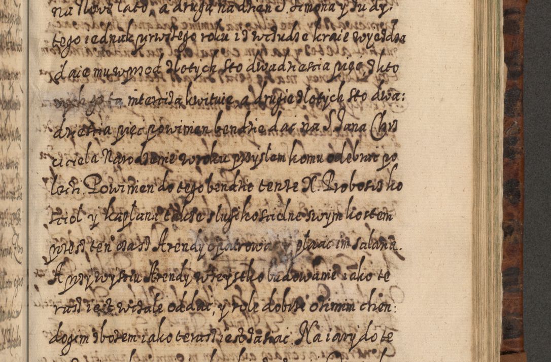Zdjęcie nr 894 dla obiektu archiwalnego: Acta actorum, causarum spiritualium, civilium, criminalium, obligationum, quietationum, inscpritionum, cessionum, decimarum, testamentorum R. D. Martini Szyszkowski, episcopi Cracoviensis, ducis Severiensis in annis 1624 - 1626. Tomus tertius.