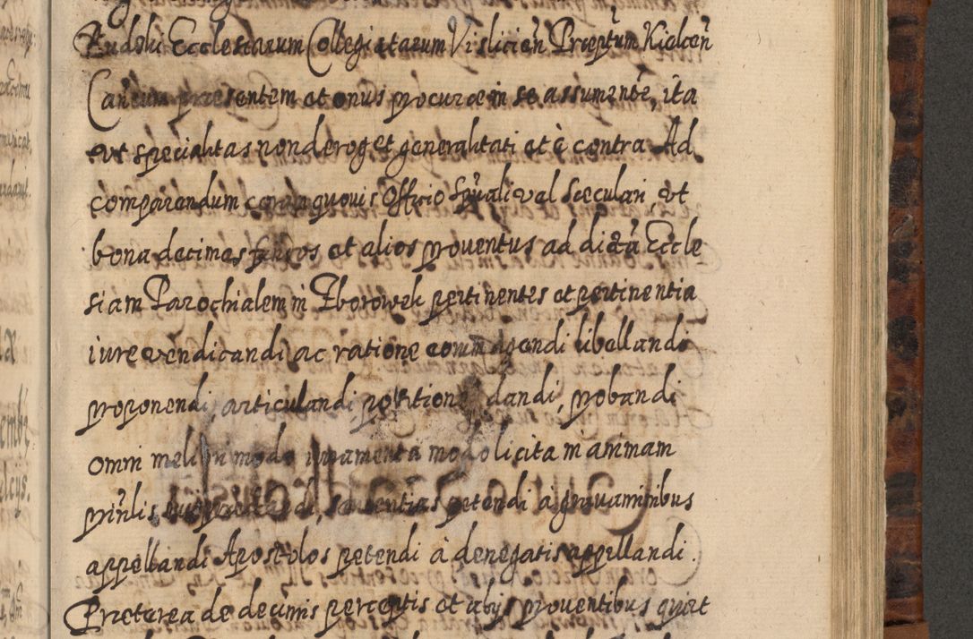 Zdjęcie nr 890 dla obiektu archiwalnego: Acta actorum, causarum spiritualium, civilium, criminalium, obligationum, quietationum, inscpritionum, cessionum, decimarum, testamentorum R. D. Martini Szyszkowski, episcopi Cracoviensis, ducis Severiensis in annis 1624 - 1626. Tomus tertius.