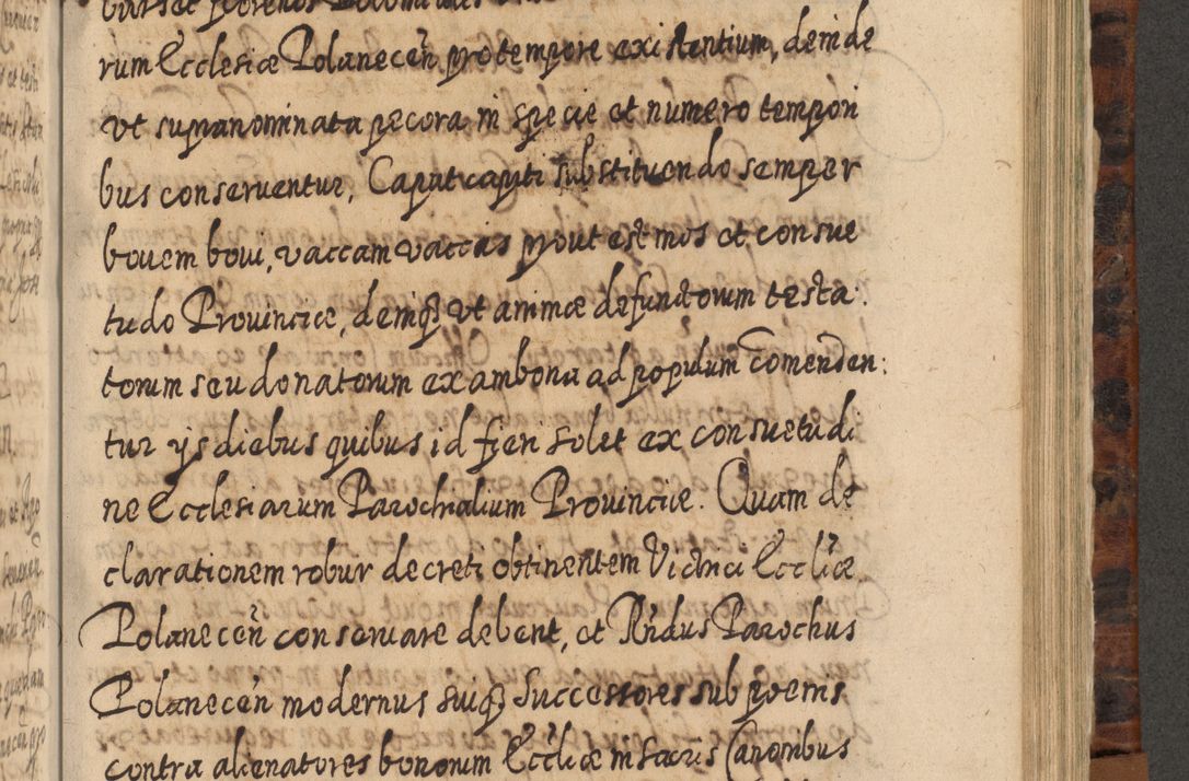 Zdjęcie nr 882 dla obiektu archiwalnego: Acta actorum, causarum spiritualium, civilium, criminalium, obligationum, quietationum, inscpritionum, cessionum, decimarum, testamentorum R. D. Martini Szyszkowski, episcopi Cracoviensis, ducis Severiensis in annis 1624 - 1626. Tomus tertius.