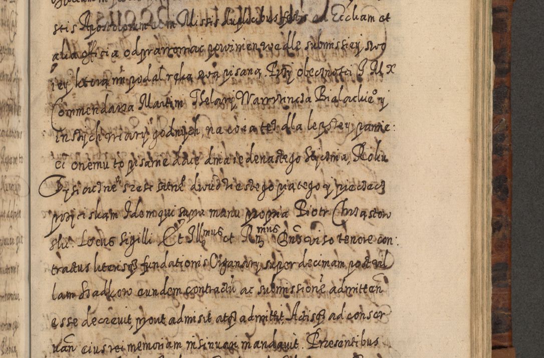 Zdjęcie nr 866 dla obiektu archiwalnego: Acta actorum, causarum spiritualium, civilium, criminalium, obligationum, quietationum, inscpritionum, cessionum, decimarum, testamentorum R. D. Martini Szyszkowski, episcopi Cracoviensis, ducis Severiensis in annis 1624 - 1626. Tomus tertius.