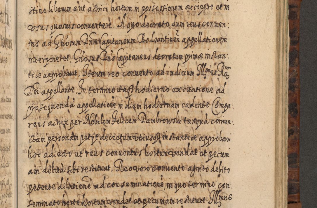 Zdjęcie nr 858 dla obiektu archiwalnego: Acta actorum, causarum spiritualium, civilium, criminalium, obligationum, quietationum, inscpritionum, cessionum, decimarum, testamentorum R. D. Martini Szyszkowski, episcopi Cracoviensis, ducis Severiensis in annis 1624 - 1626. Tomus tertius.