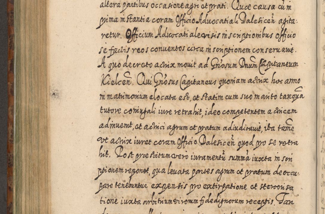 Zdjęcie nr 847 dla obiektu archiwalnego: Acta actorum, causarum spiritualium, civilium, criminalium, obligationum, quietationum, inscpritionum, cessionum, decimarum, testamentorum R. D. Martini Szyszkowski, episcopi Cracoviensis, ducis Severiensis in annis 1624 - 1626. Tomus tertius.