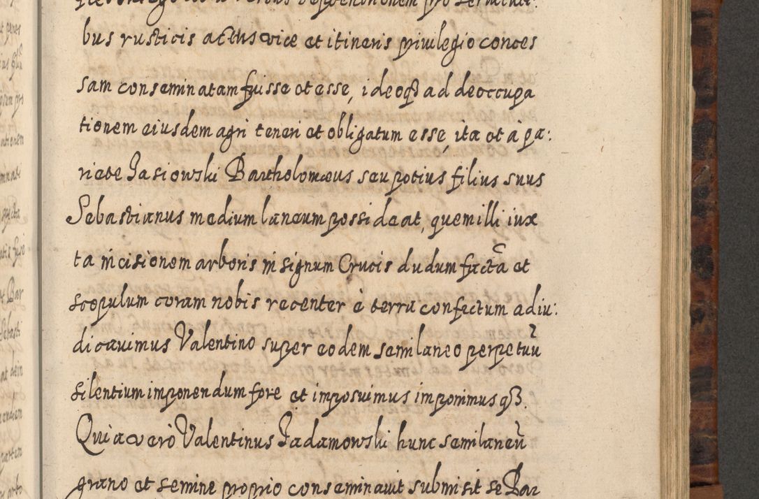 Zdjęcie nr 844 dla obiektu archiwalnego: Acta actorum, causarum spiritualium, civilium, criminalium, obligationum, quietationum, inscpritionum, cessionum, decimarum, testamentorum R. D. Martini Szyszkowski, episcopi Cracoviensis, ducis Severiensis in annis 1624 - 1626. Tomus tertius.