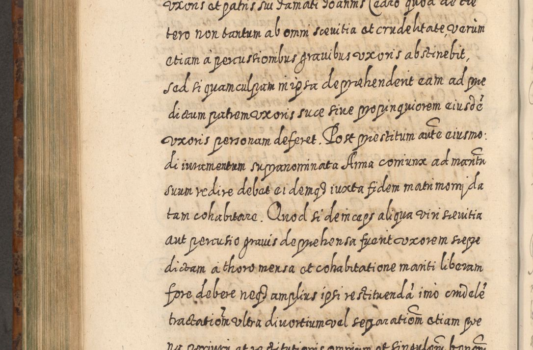 Zdjęcie nr 821 dla obiektu archiwalnego: Acta actorum, causarum spiritualium, civilium, criminalium, obligationum, quietationum, inscpritionum, cessionum, decimarum, testamentorum R. D. Martini Szyszkowski, episcopi Cracoviensis, ducis Severiensis in annis 1624 - 1626. Tomus tertius.
