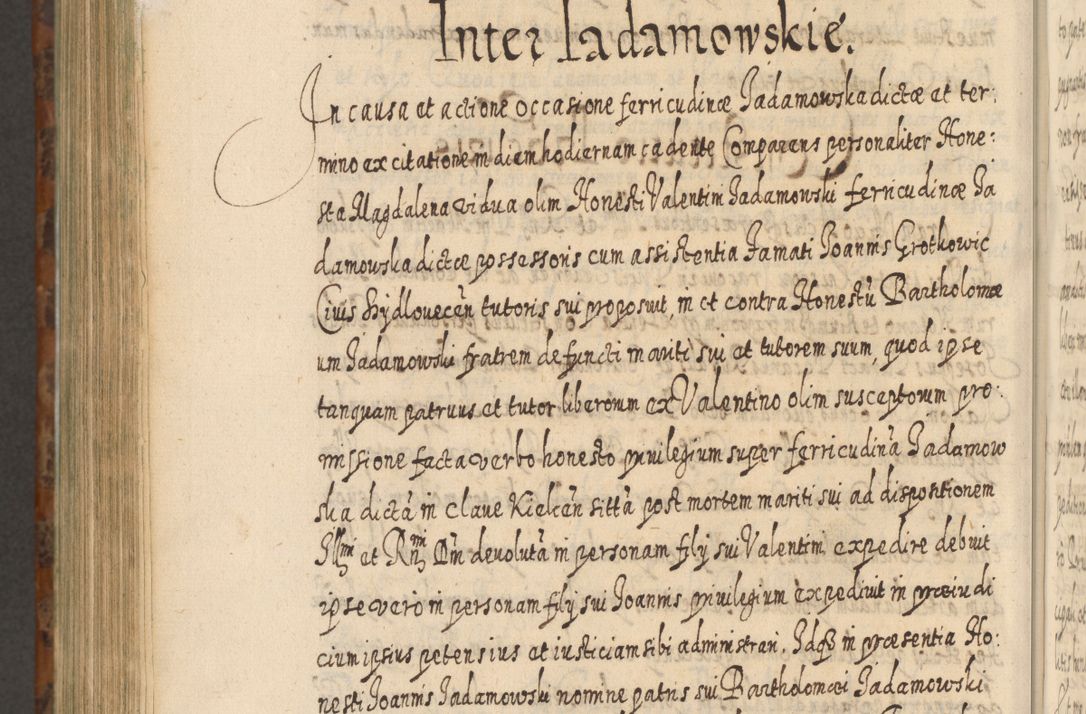 Zdjęcie nr 1193 dla obiektu archiwalnego: Acta actorum, causarum spiritualium, civilium, criminalium, obligationum, quietationum, inscpritionum, cessionum, decimarum, testamentorum R. D. Martini Szyszkowski, episcopi Cracoviensis, ducis Severiensis in annis 1624 - 1626. Tomus tertius.
