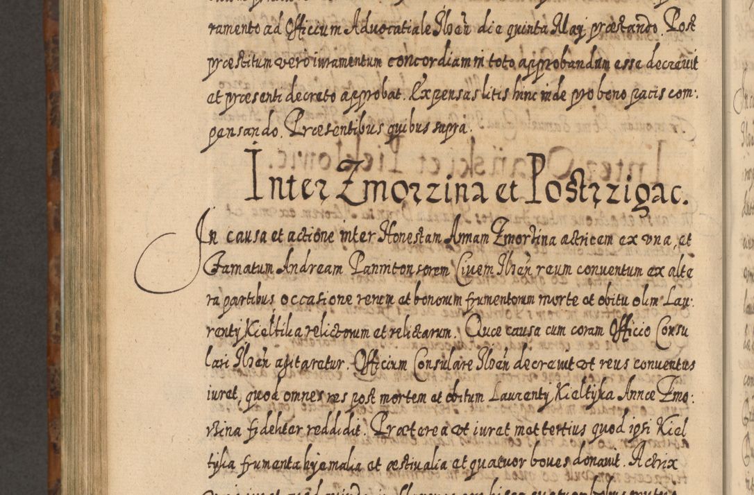 Zdjęcie nr 1125 dla obiektu archiwalnego: Acta actorum, causarum spiritualium, civilium, criminalium, obligationum, quietationum, inscpritionum, cessionum, decimarum, testamentorum R. D. Martini Szyszkowski, episcopi Cracoviensis, ducis Severiensis in annis 1624 - 1626. Tomus tertius.