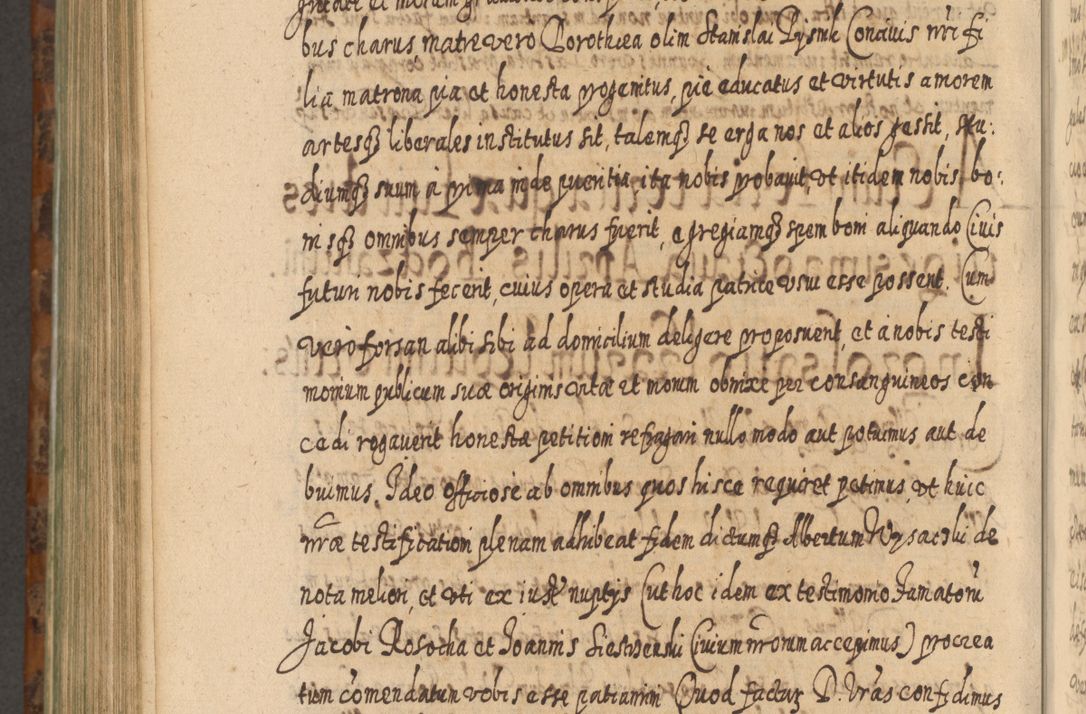 Zdjęcie nr 1121 dla obiektu archiwalnego: Acta actorum, causarum spiritualium, civilium, criminalium, obligationum, quietationum, inscpritionum, cessionum, decimarum, testamentorum R. D. Martini Szyszkowski, episcopi Cracoviensis, ducis Severiensis in annis 1624 - 1626. Tomus tertius.