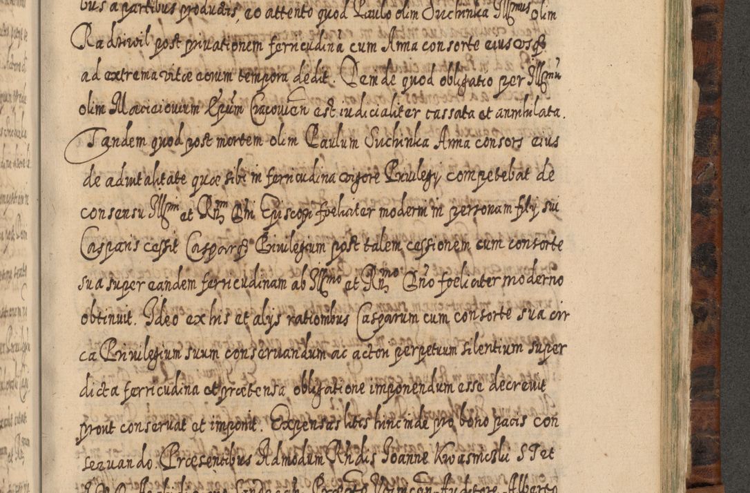 Zdjęcie nr 1118 dla obiektu archiwalnego: Acta actorum, causarum spiritualium, civilium, criminalium, obligationum, quietationum, inscpritionum, cessionum, decimarum, testamentorum R. D. Martini Szyszkowski, episcopi Cracoviensis, ducis Severiensis in annis 1624 - 1626. Tomus tertius.