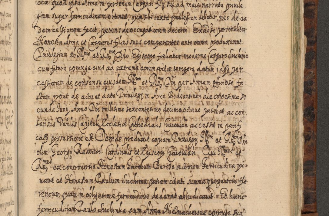 Zdjęcie nr 1116 dla obiektu archiwalnego: Acta actorum, causarum spiritualium, civilium, criminalium, obligationum, quietationum, inscpritionum, cessionum, decimarum, testamentorum R. D. Martini Szyszkowski, episcopi Cracoviensis, ducis Severiensis in annis 1624 - 1626. Tomus tertius.