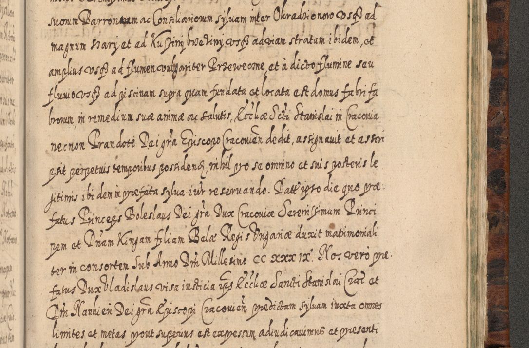 Zdjęcie nr 1272 dla obiektu archiwalnego: Acta actorum, causarum spiritualium, civilium, criminalium, obligationum, quietationum, inscpritionum, cessionum, decimarum, testamentorum R. D. Martini Szyszkowski, episcopi Cracoviensis, ducis Severiensis in annis 1624 - 1626. Tomus tertius.