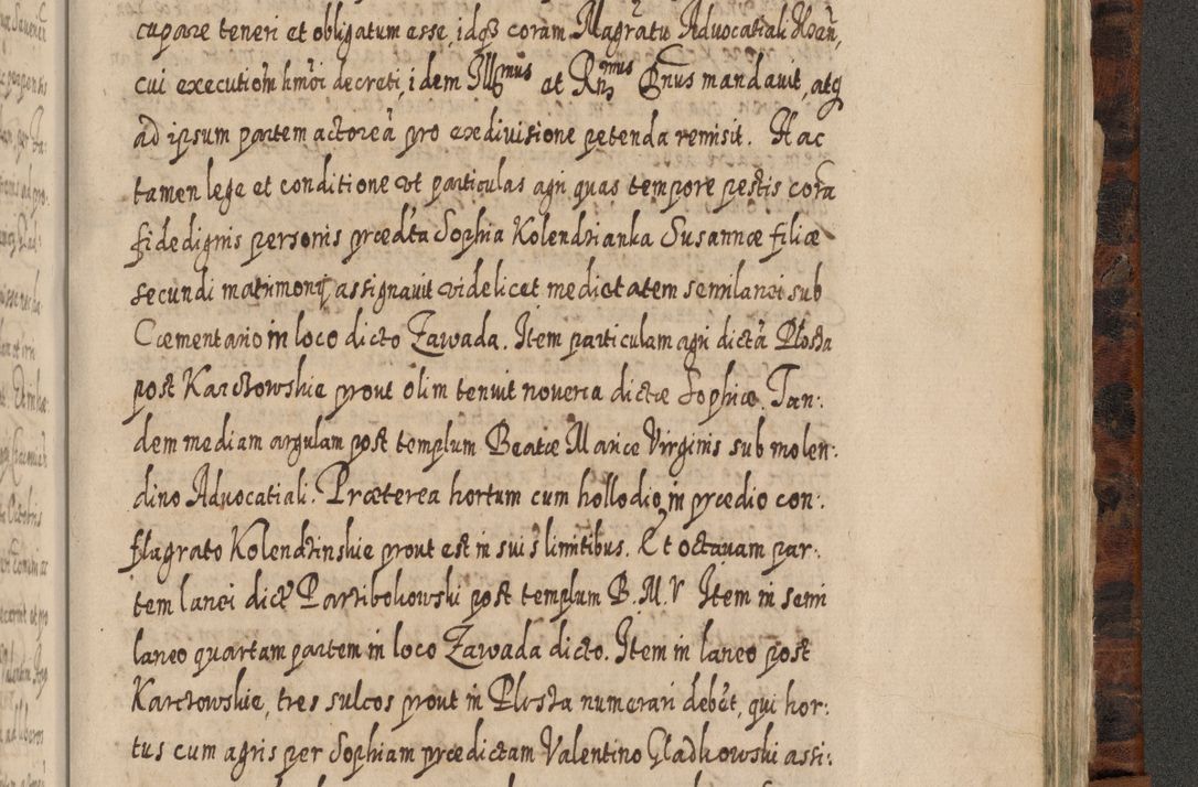 Zdjęcie nr 1234 dla obiektu archiwalnego: Acta actorum, causarum spiritualium, civilium, criminalium, obligationum, quietationum, inscpritionum, cessionum, decimarum, testamentorum R. D. Martini Szyszkowski, episcopi Cracoviensis, ducis Severiensis in annis 1624 - 1626. Tomus tertius.