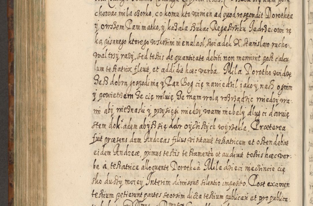 Zdjęcie nr 1217 dla obiektu archiwalnego: Acta actorum, causarum spiritualium, civilium, criminalium, obligationum, quietationum, inscpritionum, cessionum, decimarum, testamentorum R. D. Martini Szyszkowski, episcopi Cracoviensis, ducis Severiensis in annis 1624 - 1626. Tomus tertius.