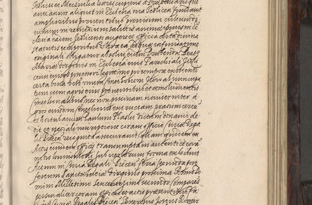 Zdjęcie nr 220 dla obiektu archiwalnego: Acta actorum, obligationum, inscriptionum, institutionum, erectionum, decretorum et generis eiusdem aliorum factorum et gestorum coram R. D. Bernardo Maciejowski, episcopo Cracoviensi per annnos 1603 - 1606 mensem Septembrem inclusive acticatorum.