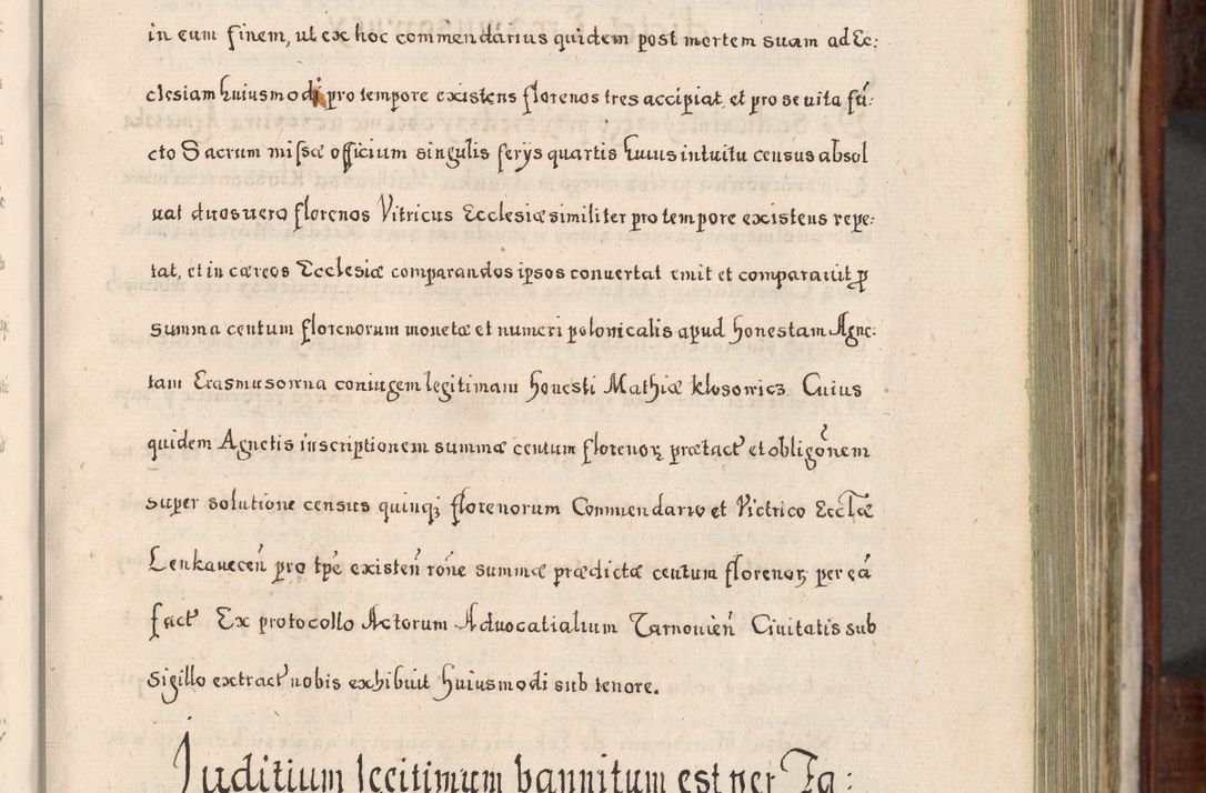 Zdjęcie nr 196 dla obiektu archiwalnego: Acta actorum, obligationum, erectionum, decretorum, rovisionum, instutionum, confirmationum caeterarumque causarum et negotiorum ad forum spirituale pertinentium coram R. D. Georgio S. R. E. Cardinali presbytero Radziwiłł nuncupato, perpetuo administratore episcopatus Cracoviensis et Ducatus Severiensis, duce in Olika et Nieśież, Sacrique Romani Imperii principe ab anno 1597 ad annum 1600 diem 12 Februarii inclusive, etiam sub ansentia eius Cracoviae acticatorum.