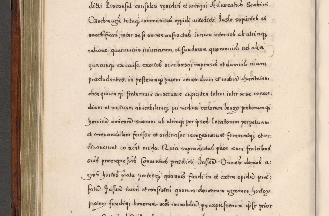 Zdjęcie nr 401 dla obiektu archiwalnego: Acta actorum, obligationum, erectionum, decretorum, rovisionum, instutionum, confirmationum caeterarumque causarum et negotiorum ad forum spirituale pertinentium coram R. D. Georgio S. R. E. Cardinali presbytero Radziwiłł nuncupato, perpetuo administratore episcopatus Cracoviensis et Ducatus Severiensis, duce in Olika et Nieśież, Sacrique Romani Imperii principe ab anno 1597 ad annum 1600 diem 12 Februarii inclusive, etiam sub ansentia eius Cracoviae acticatorum.