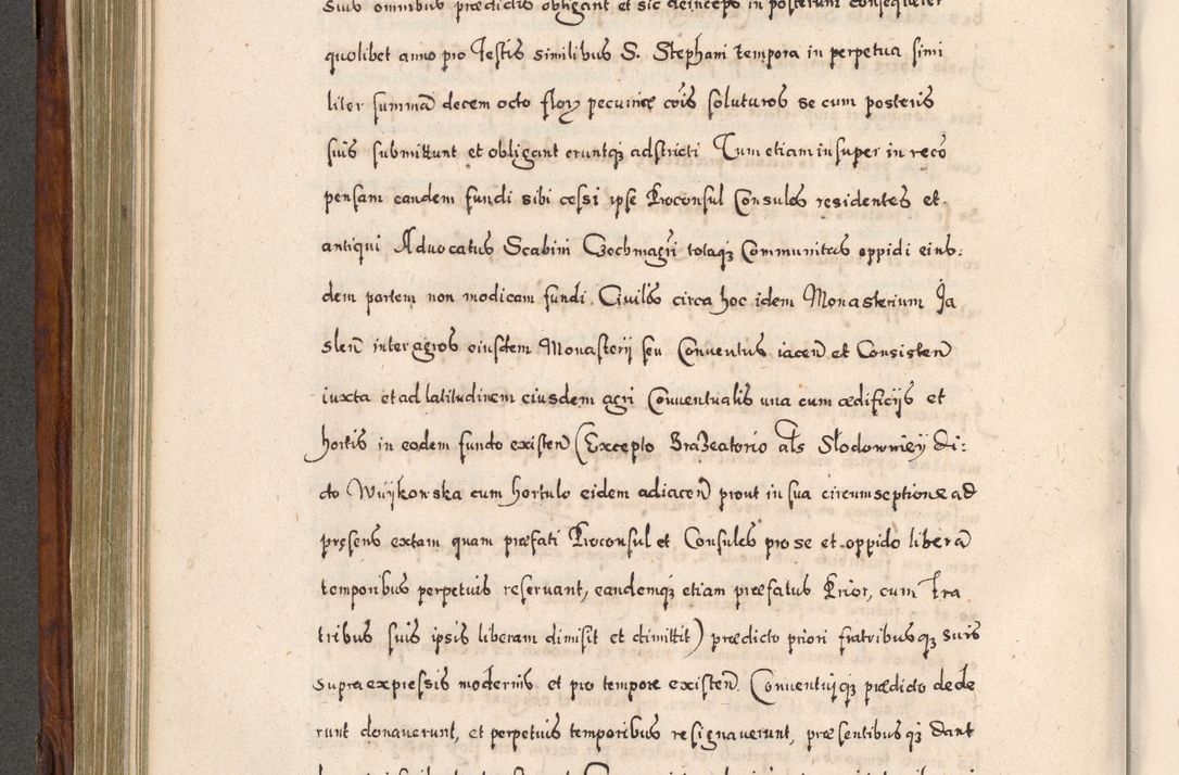 Zdjęcie nr 403 dla obiektu archiwalnego: Acta actorum, obligationum, erectionum, decretorum, rovisionum, instutionum, confirmationum caeterarumque causarum et negotiorum ad forum spirituale pertinentium coram R. D. Georgio S. R. E. Cardinali presbytero Radziwiłł nuncupato, perpetuo administratore episcopatus Cracoviensis et Ducatus Severiensis, duce in Olika et Nieśież, Sacrique Romani Imperii principe ab anno 1597 ad annum 1600 diem 12 Februarii inclusive, etiam sub ansentia eius Cracoviae acticatorum.