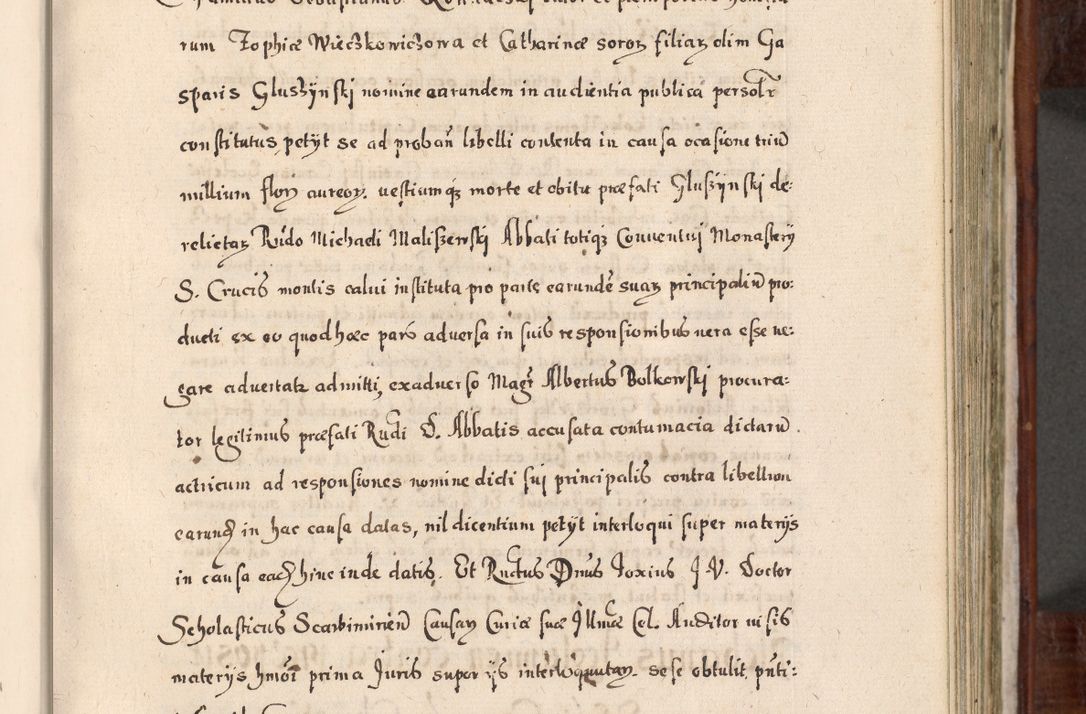 Zdjęcie nr 380 dla obiektu archiwalnego: Acta actorum, obligationum, erectionum, decretorum, rovisionum, instutionum, confirmationum caeterarumque causarum et negotiorum ad forum spirituale pertinentium coram R. D. Georgio S. R. E. Cardinali presbytero Radziwiłł nuncupato, perpetuo administratore episcopatus Cracoviensis et Ducatus Severiensis, duce in Olika et Nieśież, Sacrique Romani Imperii principe ab anno 1597 ad annum 1600 diem 12 Februarii inclusive, etiam sub ansentia eius Cracoviae acticatorum.