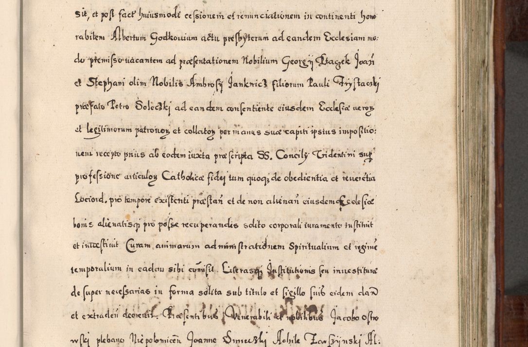 Zdjęcie nr 360 dla obiektu archiwalnego: Acta actorum, obligationum, erectionum, decretorum, rovisionum, instutionum, confirmationum caeterarumque causarum et negotiorum ad forum spirituale pertinentium coram R. D. Georgio S. R. E. Cardinali presbytero Radziwiłł nuncupato, perpetuo administratore episcopatus Cracoviensis et Ducatus Severiensis, duce in Olika et Nieśież, Sacrique Romani Imperii principe ab anno 1597 ad annum 1600 diem 12 Februarii inclusive, etiam sub ansentia eius Cracoviae acticatorum.