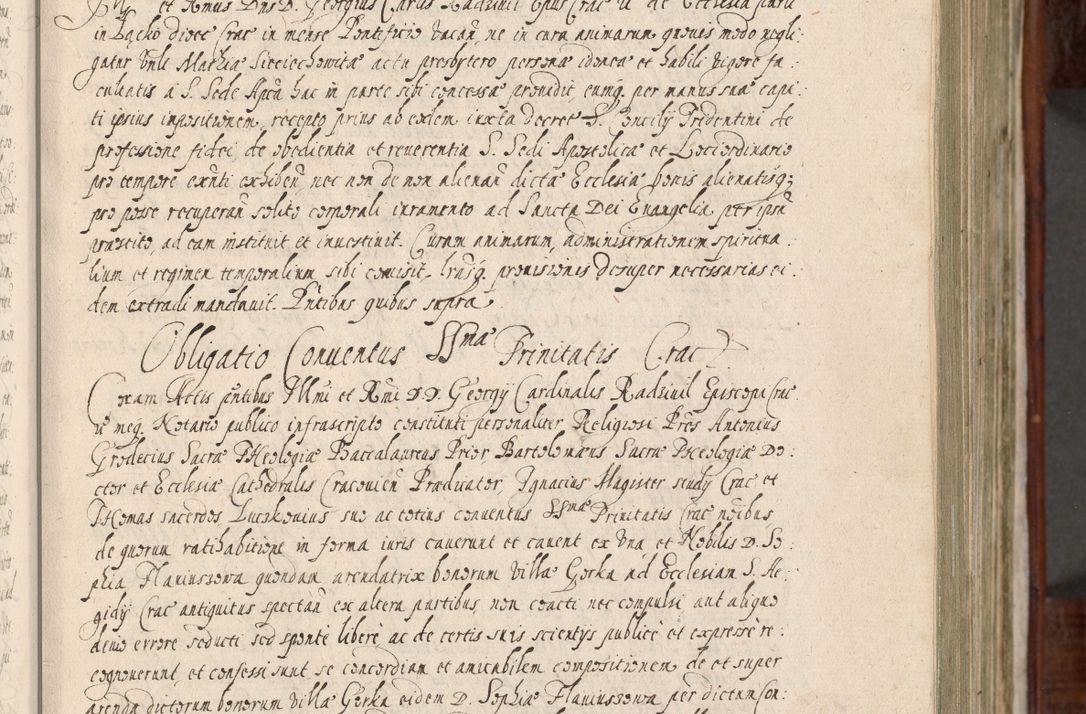 Zdjęcie nr 26 dla obiektu archiwalnego: Acta actorum, obligationum, erectionum, decretorum, rovisionum, instutionum, confirmationum caeterarumque causarum et negotiorum ad forum spirituale pertinentium coram R. D. Georgio S. R. E. Cardinali presbytero Radziwiłł nuncupato, perpetuo administratore episcopatus Cracoviensis et Ducatus Severiensis, duce in Olika et Nieśież, Sacrique Romani Imperii principe ab anno 1597 ad annum 1600 diem 12 Februarii inclusive, etiam sub ansentia eius Cracoviae acticatorum.