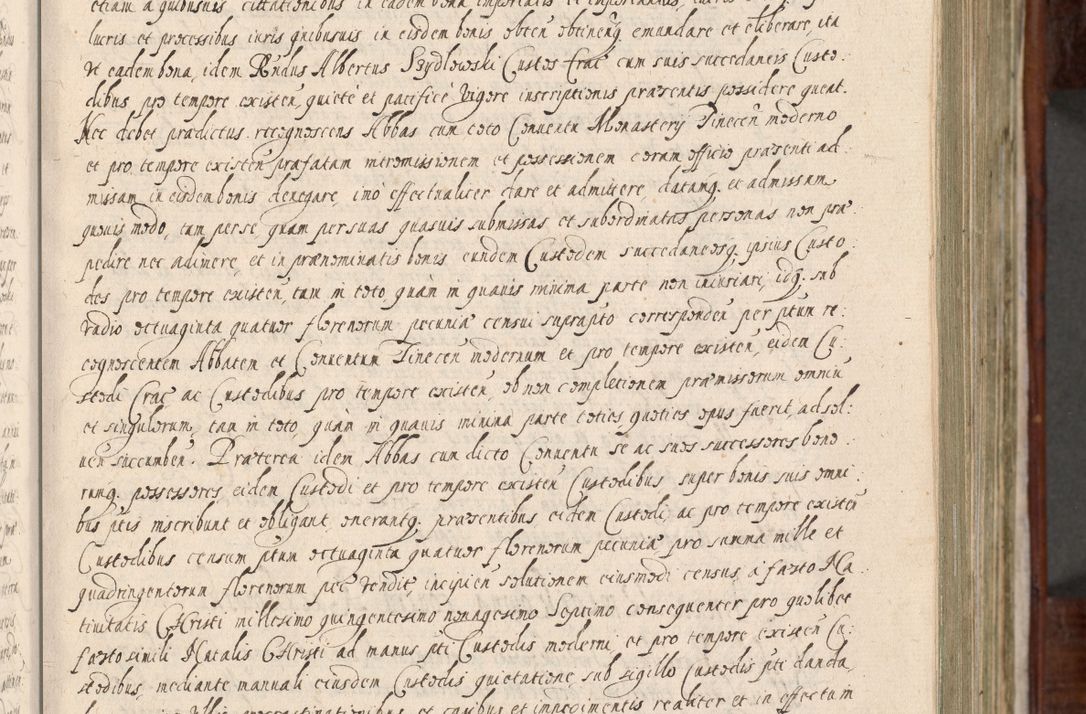Zdjęcie nr 20 dla obiektu archiwalnego: Acta actorum, obligationum, erectionum, decretorum, rovisionum, instutionum, confirmationum caeterarumque causarum et negotiorum ad forum spirituale pertinentium coram R. D. Georgio S. R. E. Cardinali presbytero Radziwiłł nuncupato, perpetuo administratore episcopatus Cracoviensis et Ducatus Severiensis, duce in Olika et Nieśież, Sacrique Romani Imperii principe ab anno 1597 ad annum 1600 diem 12 Februarii inclusive, etiam sub ansentia eius Cracoviae acticatorum.
