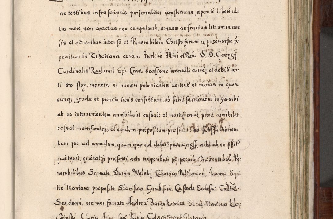 Zdjęcie nr 348 dla obiektu archiwalnego: Acta actorum, obligationum, erectionum, decretorum, rovisionum, instutionum, confirmationum caeterarumque causarum et negotiorum ad forum spirituale pertinentium coram R. D. Georgio S. R. E. Cardinali presbytero Radziwiłł nuncupato, perpetuo administratore episcopatus Cracoviensis et Ducatus Severiensis, duce in Olika et Nieśież, Sacrique Romani Imperii principe ab anno 1597 ad annum 1600 diem 12 Februarii inclusive, etiam sub ansentia eius Cracoviae acticatorum.
