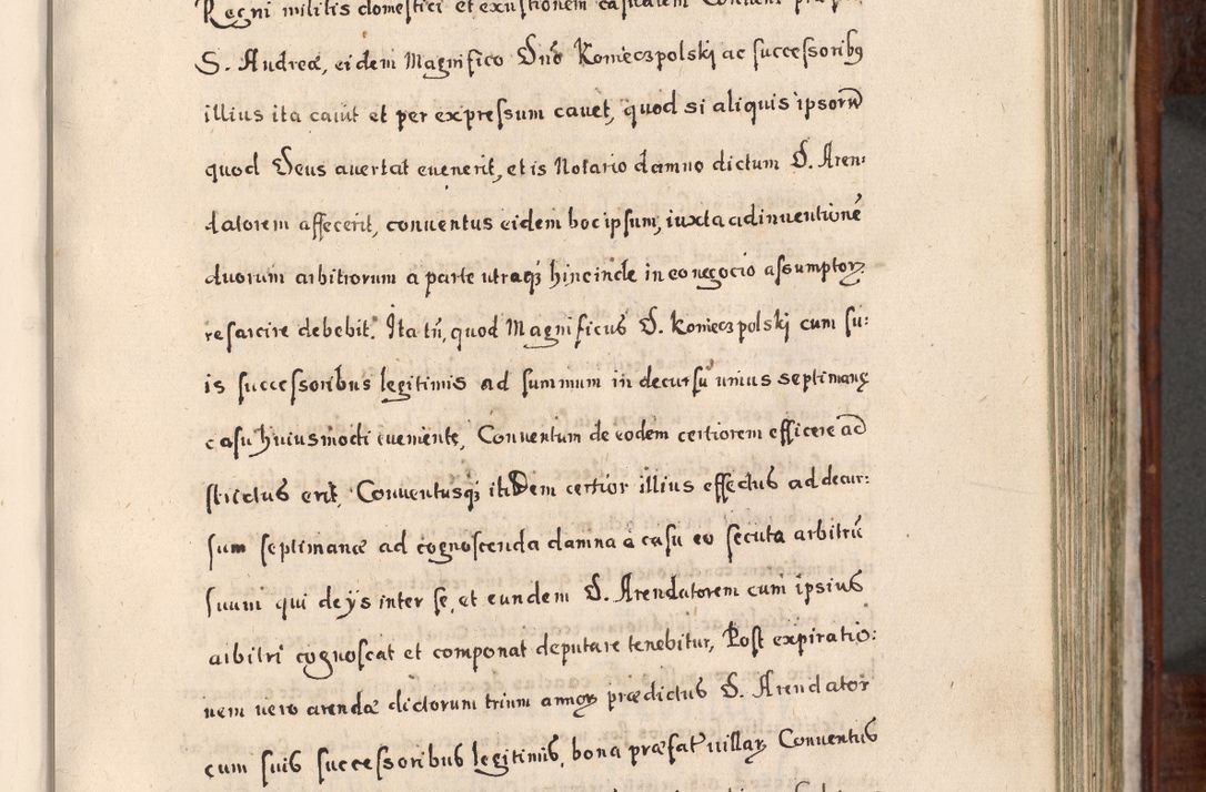 Zdjęcie nr 344 dla obiektu archiwalnego: Acta actorum, obligationum, erectionum, decretorum, rovisionum, instutionum, confirmationum caeterarumque causarum et negotiorum ad forum spirituale pertinentium coram R. D. Georgio S. R. E. Cardinali presbytero Radziwiłł nuncupato, perpetuo administratore episcopatus Cracoviensis et Ducatus Severiensis, duce in Olika et Nieśież, Sacrique Romani Imperii principe ab anno 1597 ad annum 1600 diem 12 Februarii inclusive, etiam sub ansentia eius Cracoviae acticatorum.