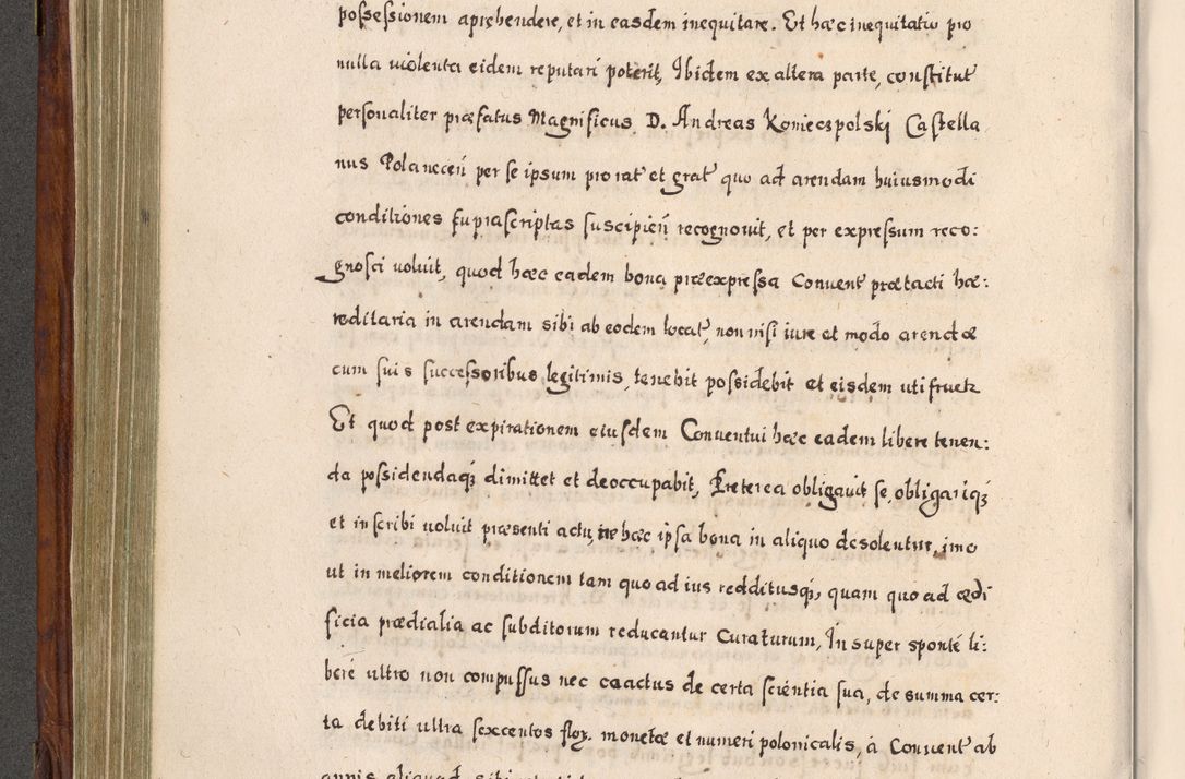 Zdjęcie nr 345 dla obiektu archiwalnego: Acta actorum, obligationum, erectionum, decretorum, rovisionum, instutionum, confirmationum caeterarumque causarum et negotiorum ad forum spirituale pertinentium coram R. D. Georgio S. R. E. Cardinali presbytero Radziwiłł nuncupato, perpetuo administratore episcopatus Cracoviensis et Ducatus Severiensis, duce in Olika et Nieśież, Sacrique Romani Imperii principe ab anno 1597 ad annum 1600 diem 12 Februarii inclusive, etiam sub ansentia eius Cracoviae acticatorum.