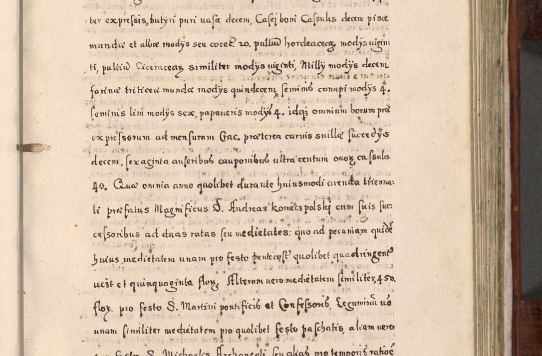 Zdjęcie nr 342 dla obiektu archiwalnego: Acta actorum, obligationum, erectionum, decretorum, rovisionum, instutionum, confirmationum caeterarumque causarum et negotiorum ad forum spirituale pertinentium coram R. D. Georgio S. R. E. Cardinali presbytero Radziwiłł nuncupato, perpetuo administratore episcopatus Cracoviensis et Ducatus Severiensis, duce in Olika et Nieśież, Sacrique Romani Imperii principe ab anno 1597 ad annum 1600 diem 12 Februarii inclusive, etiam sub ansentia eius Cracoviae acticatorum.