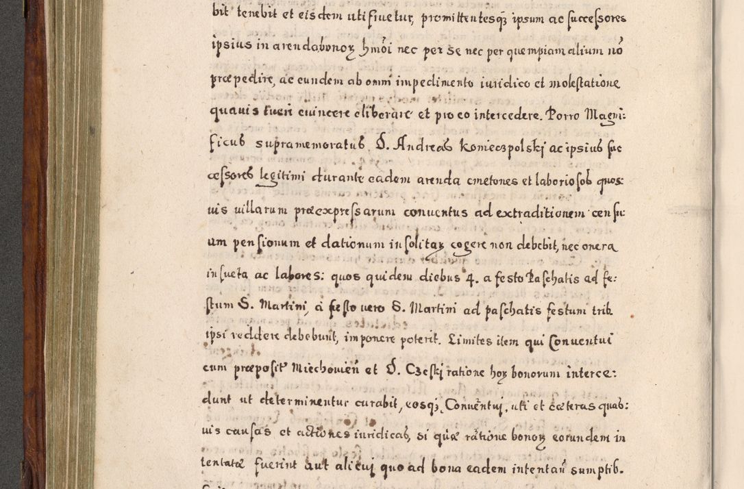 Zdjęcie nr 343 dla obiektu archiwalnego: Acta actorum, obligationum, erectionum, decretorum, rovisionum, instutionum, confirmationum caeterarumque causarum et negotiorum ad forum spirituale pertinentium coram R. D. Georgio S. R. E. Cardinali presbytero Radziwiłł nuncupato, perpetuo administratore episcopatus Cracoviensis et Ducatus Severiensis, duce in Olika et Nieśież, Sacrique Romani Imperii principe ab anno 1597 ad annum 1600 diem 12 Februarii inclusive, etiam sub ansentia eius Cracoviae acticatorum.